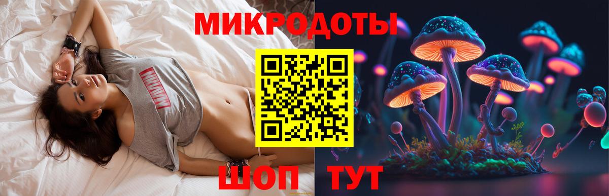 Буйнакск  Псилоцибиновые грибы Psilocybe  Вход с VPN 